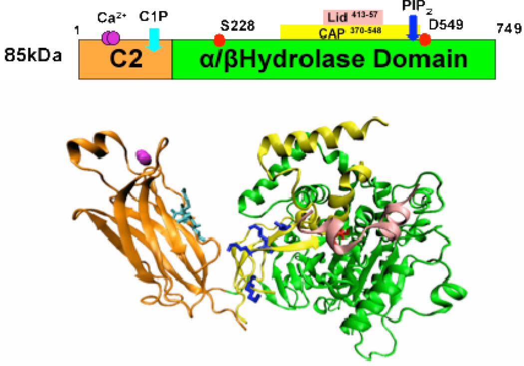 Figure 7