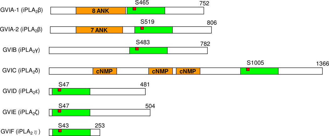 Figure 10