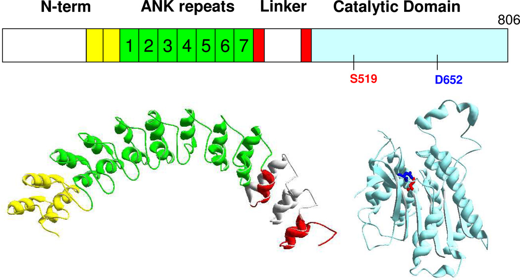 Figure 11