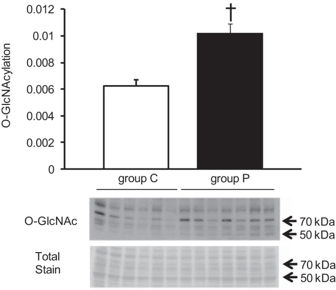 Fig. 11.