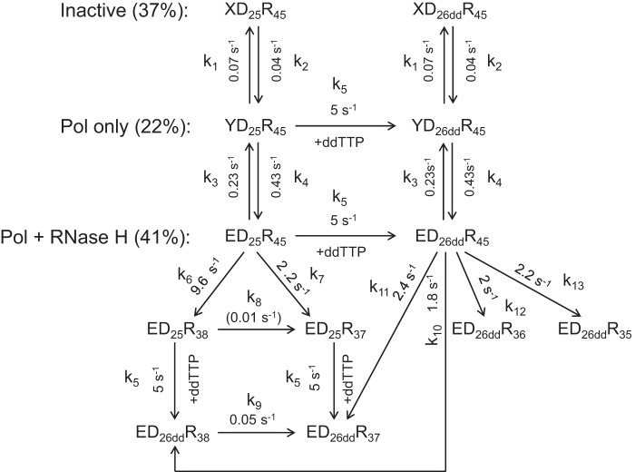 SCHEME 2.