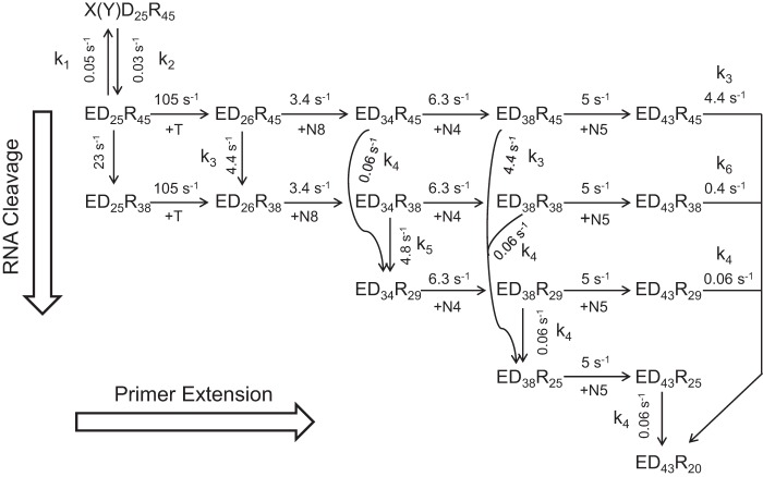 SCHEME 4.