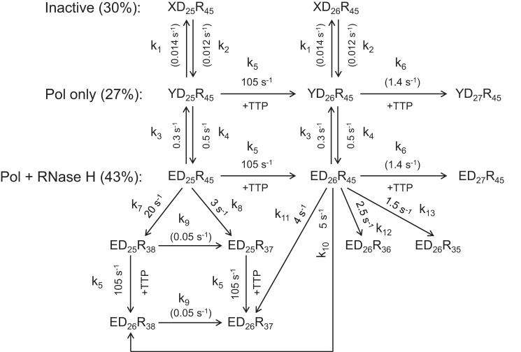 SCHEME 1.