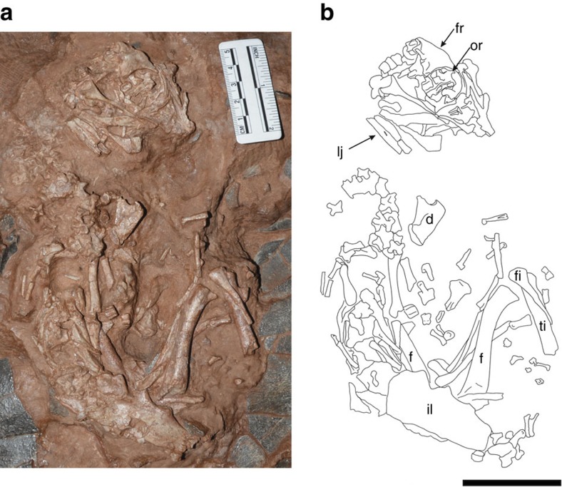 Figure 2