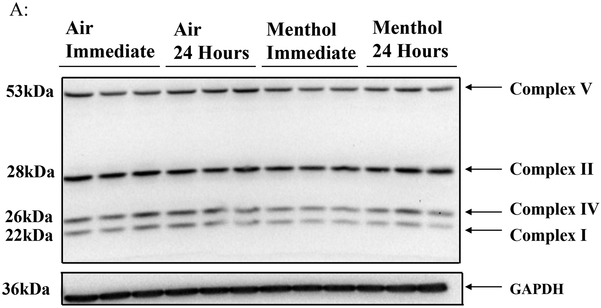 Figure 3: