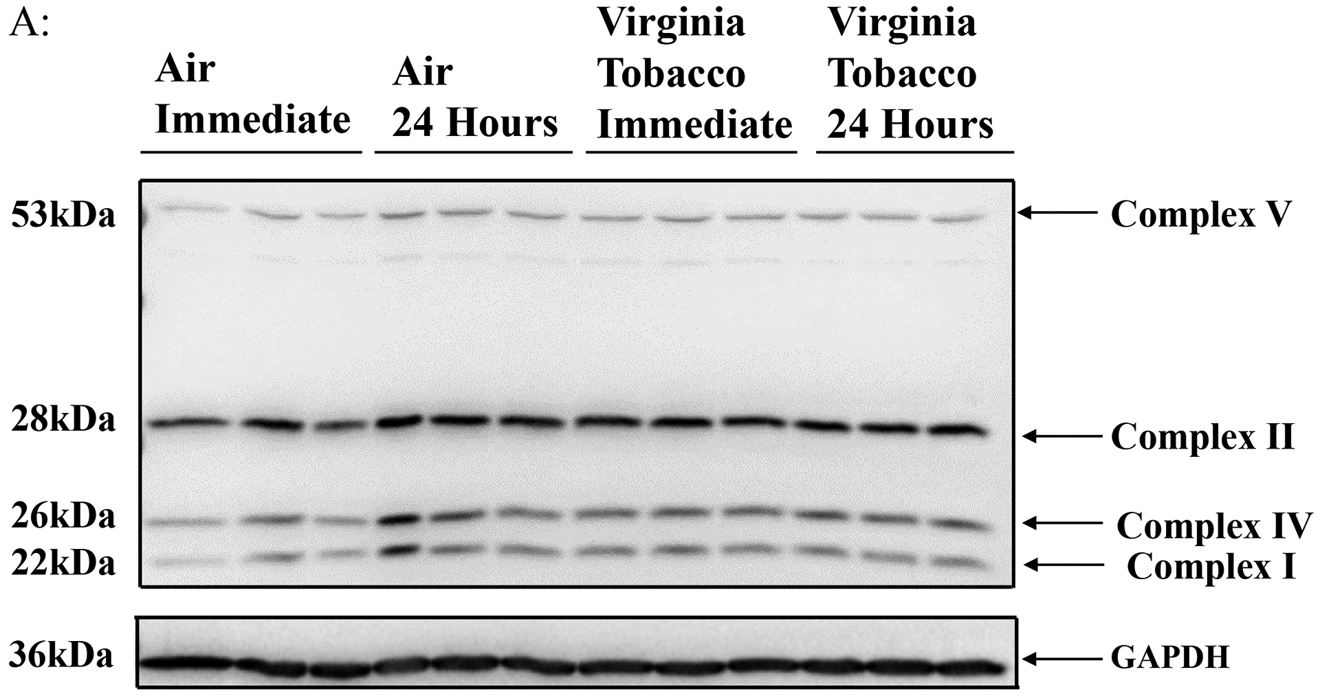 Figure 4: