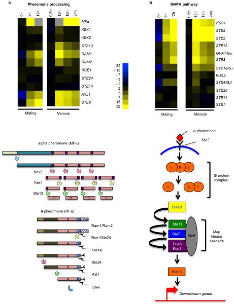 Extended Data Figure 1