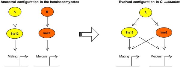 Extended Data Figure 7