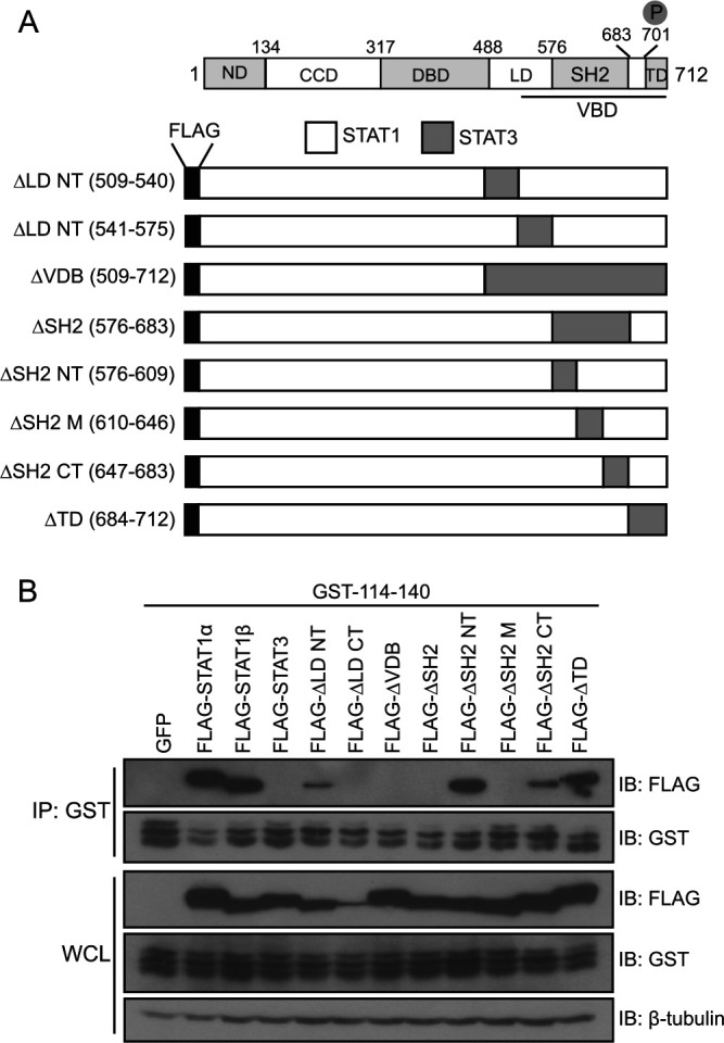 FIG 4