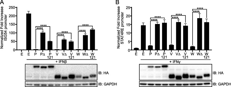 FIG 3