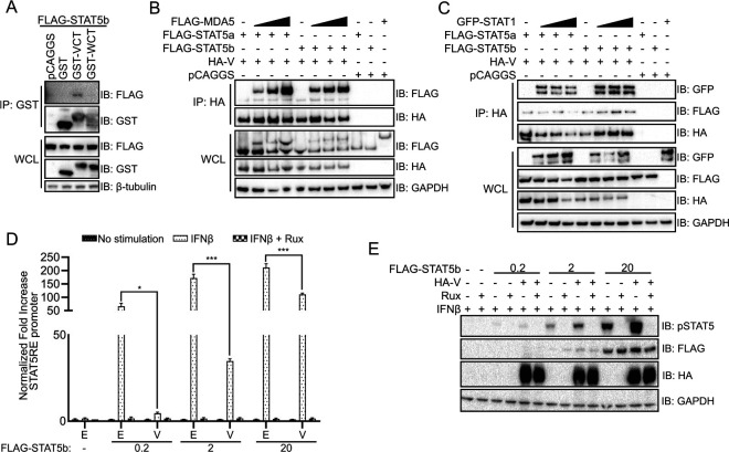 FIG 2