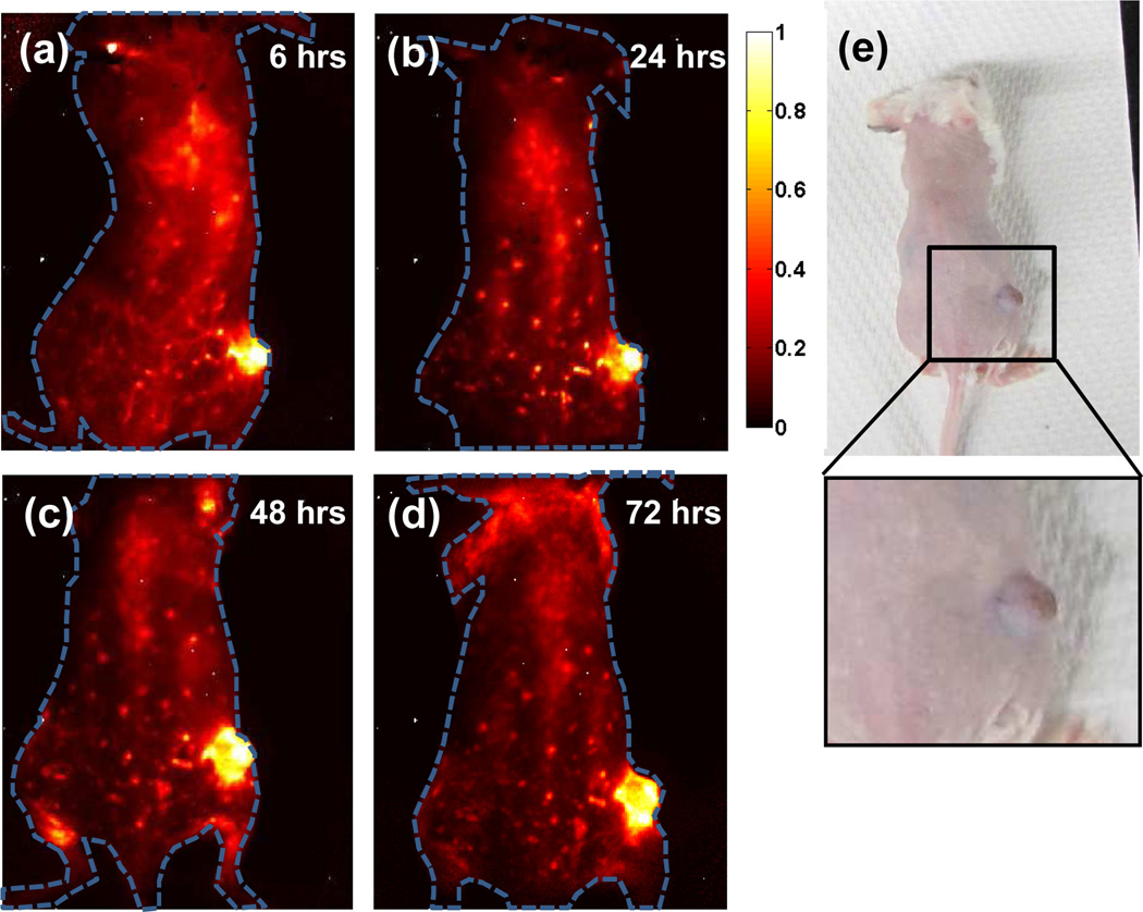 Figure 4