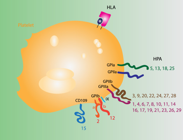 Figure 1.