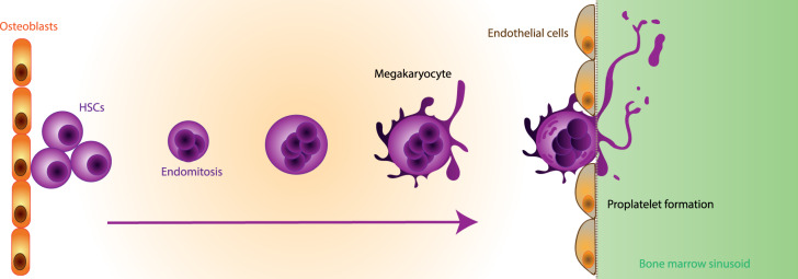 Figure 2.