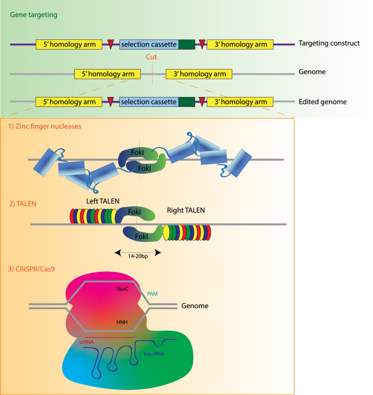 Figure 4.