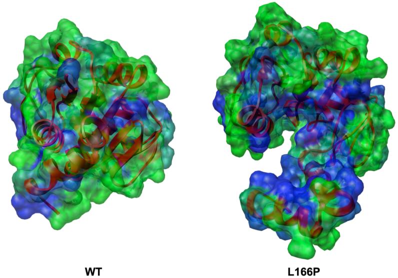 Figure 13