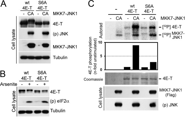 Fig 6