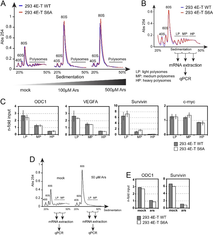 Fig 9