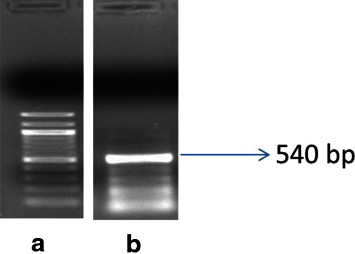 Fig. 4