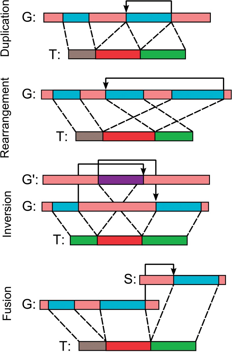 Fig. 1.