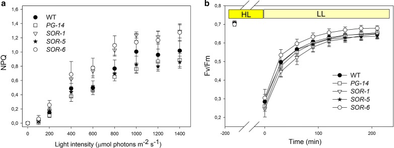 Fig. 7