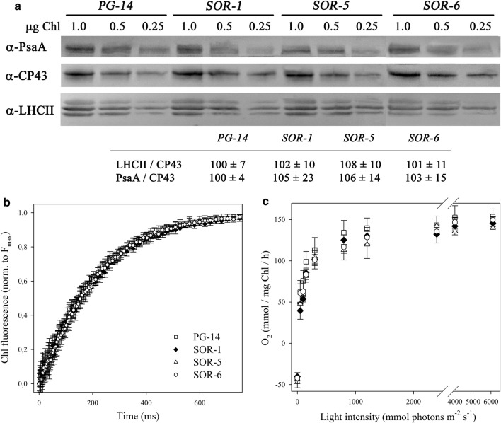 Fig. 3