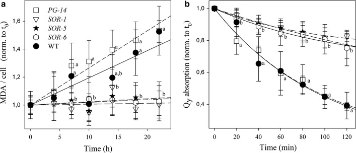 Fig. 4