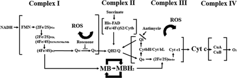 FIGURE 10.