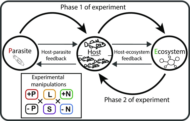 Fig. 1.