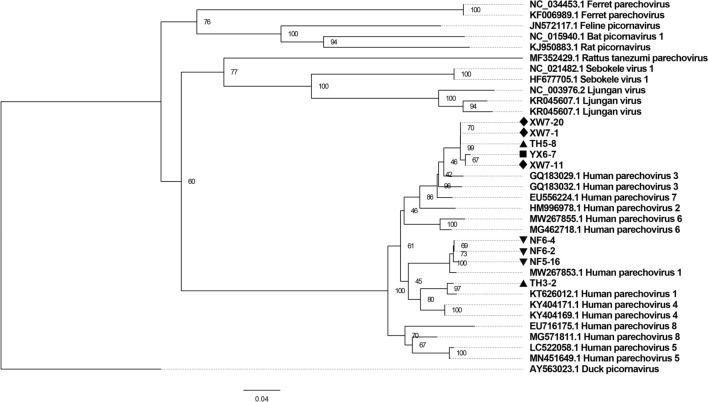 Fig. 7