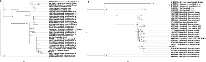 Fig. 8