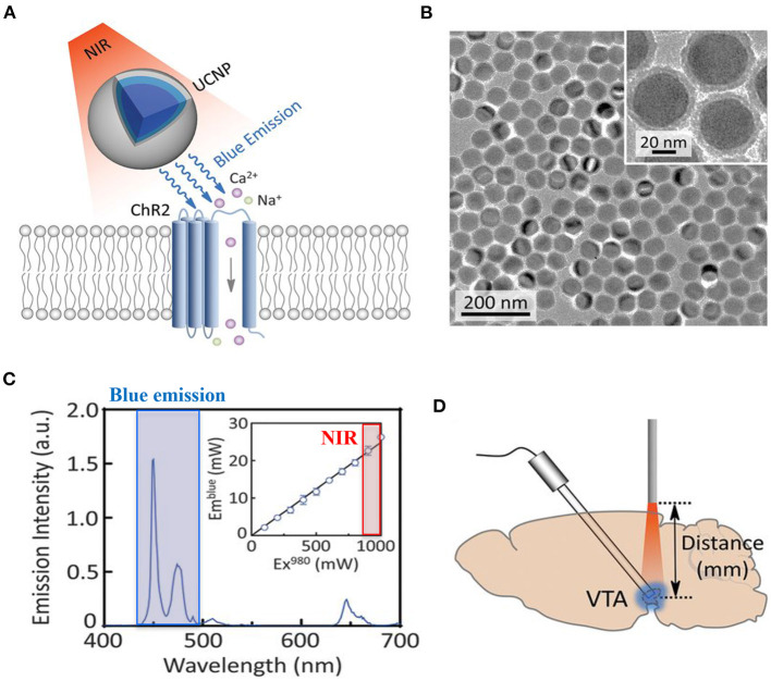 Figure 12