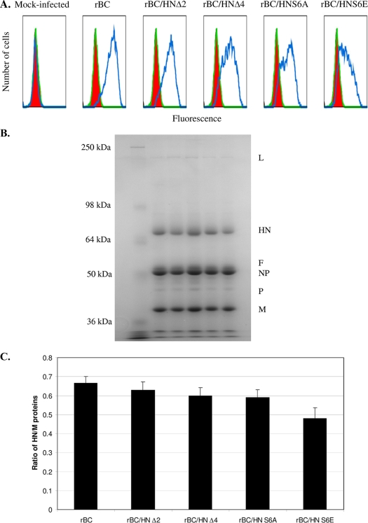 FIG. 2.