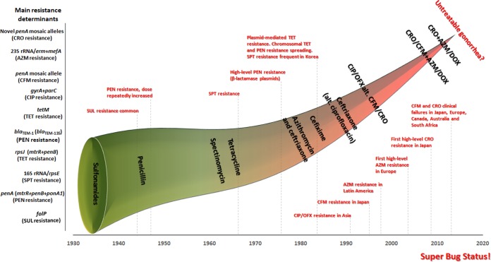 FIG 1