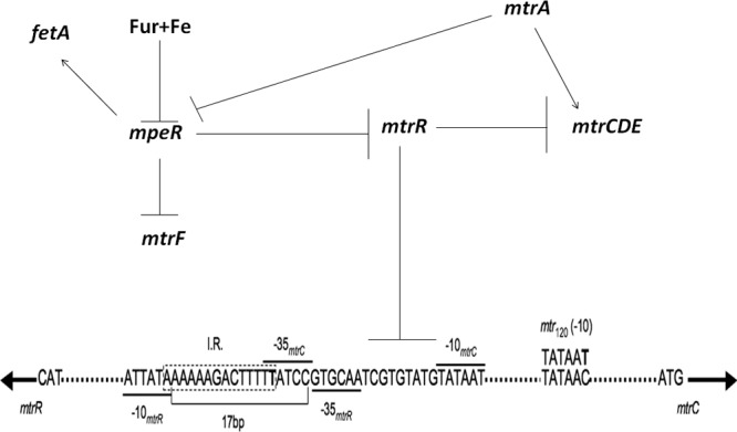 FIG 2