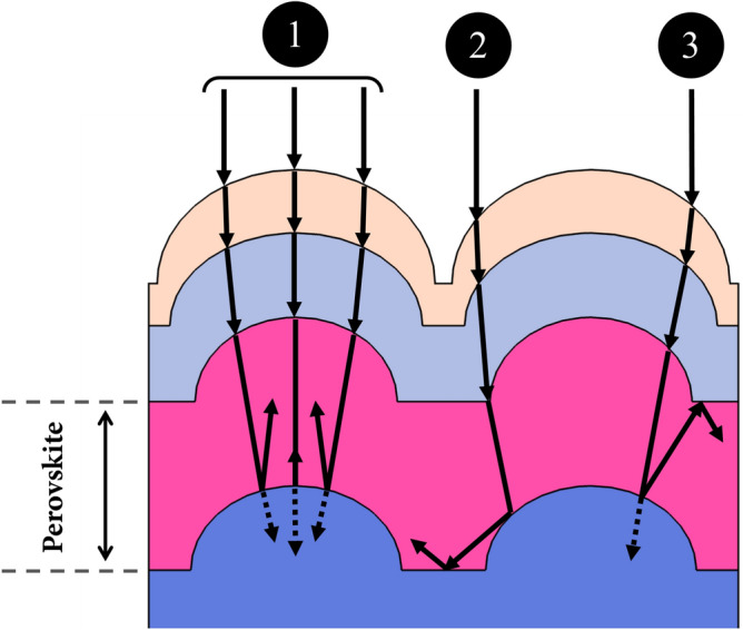 Fig. 5