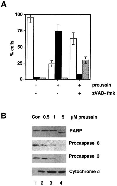 FIG. 8