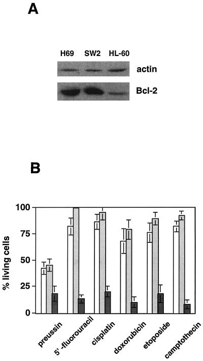 FIG. 9