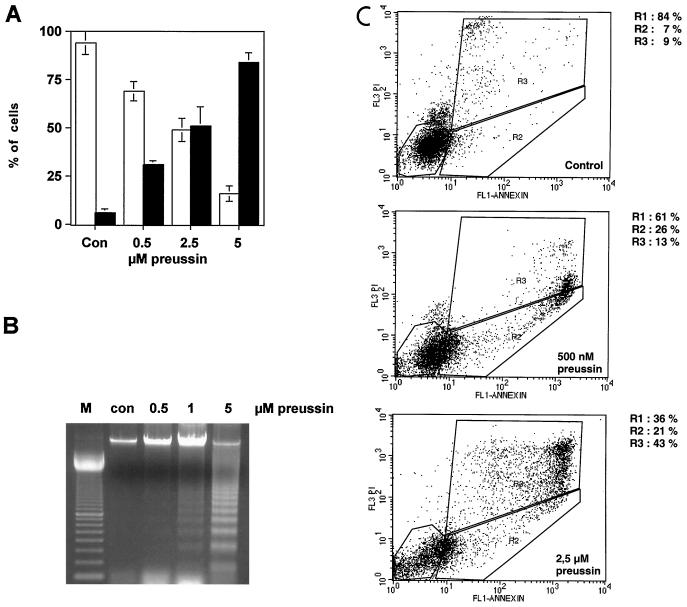 FIG. 7