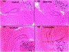 Fig 5: