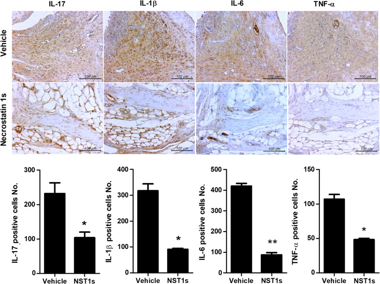 Fig. 2