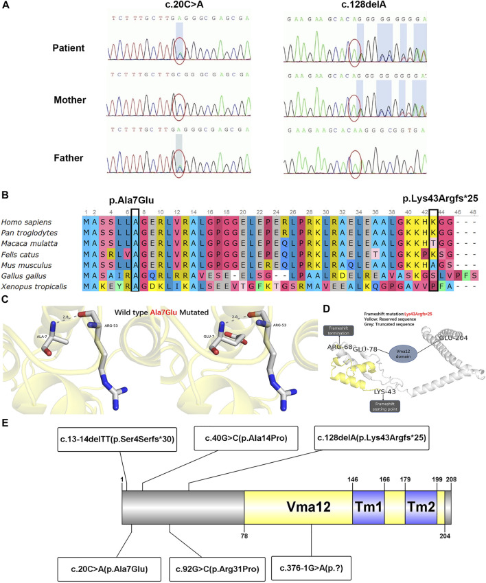 FIGURE 2