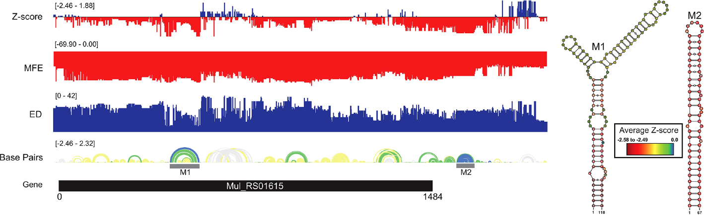 FIGURE 6