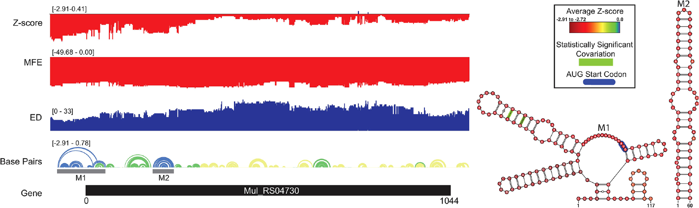 FIGURE 3