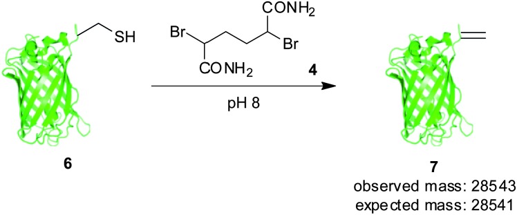 Scheme 2