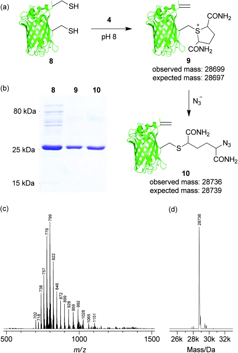 Fig. 2