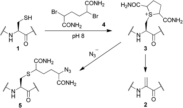 Scheme 1