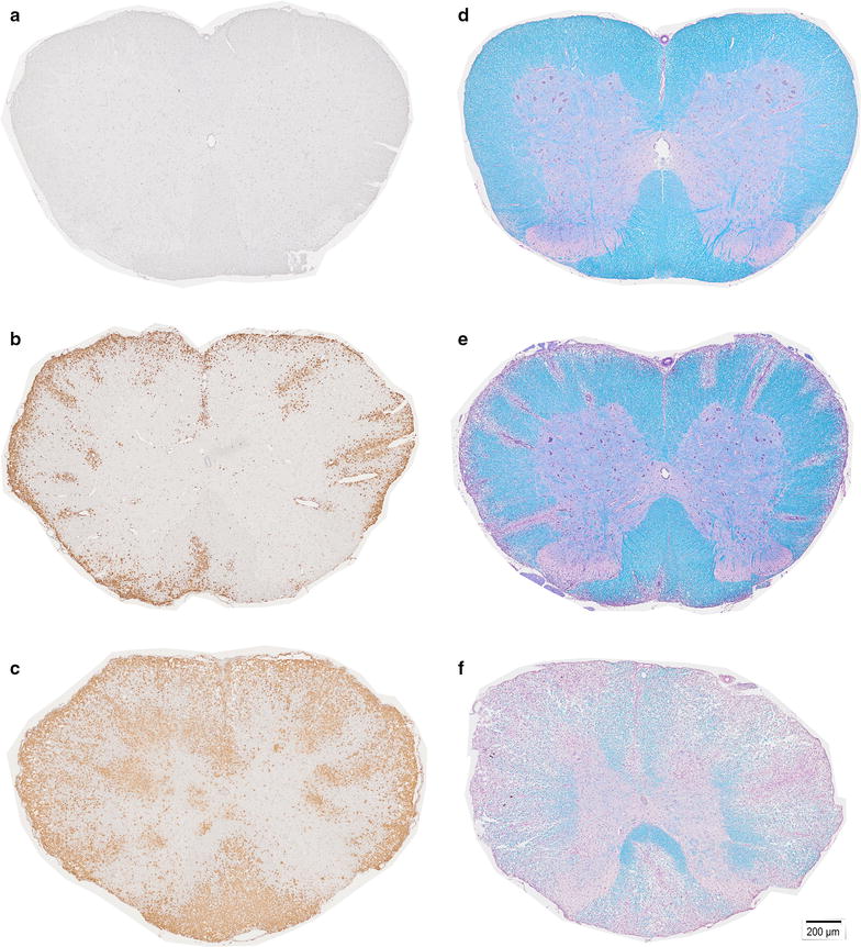 Fig. 7