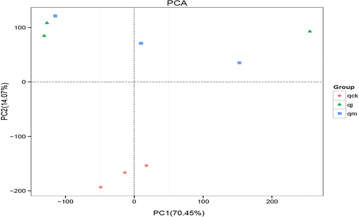 Fig. 3