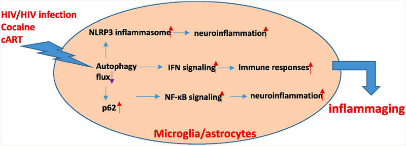 Figure 2: